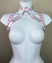 Load image into Gallery viewer, Viper Neck Harness (Pink)